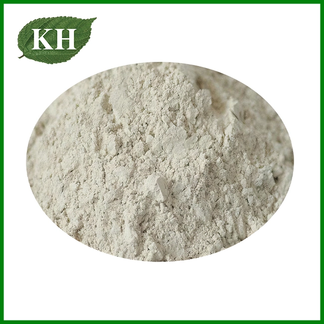 Serratiopeptidase Powder Serratiopeptidase Powder